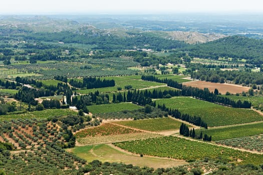 Landscape view from French Provence in summer season