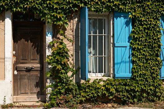 Typical house facade with with green ivy in French Provence, south France