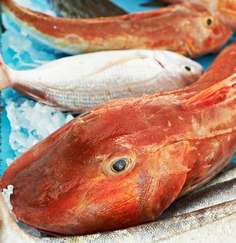 Fresh catch of red fish for sale on market of Marseille, Mediterranean France