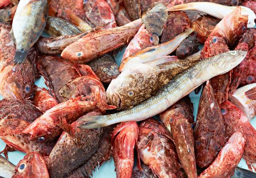 Fresh red mullet and other sea food for sale on fish market of Marseille, Mediterranean France