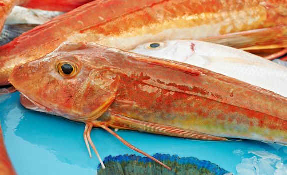 Fresh catch of red fish for sale on market of Marseille, Mediterranean France