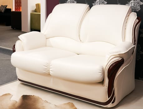 Double arm-chair modern leader-covered furniture