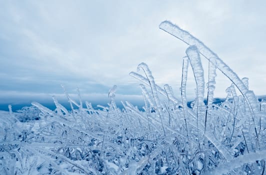 Frozen grass with layer of ice in cold winter day