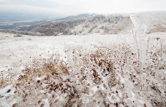 Winter mountain landscape with frost-covered grass