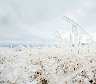 Frozen grass on the top of winter mountain