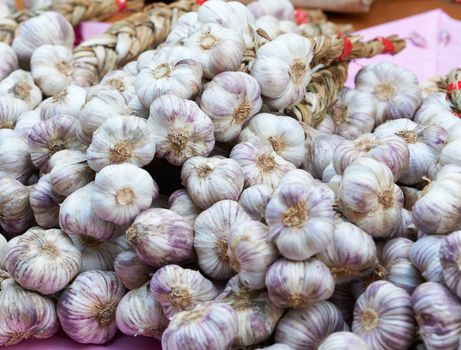 Traditional French violet garlic at French Provence market in Aix en Provence