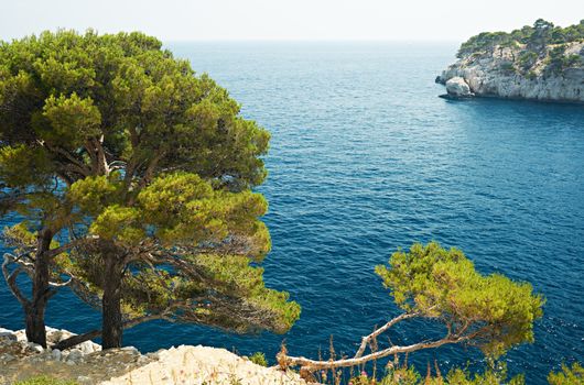 Scenery from Mediterranean sea near Cassis, south France