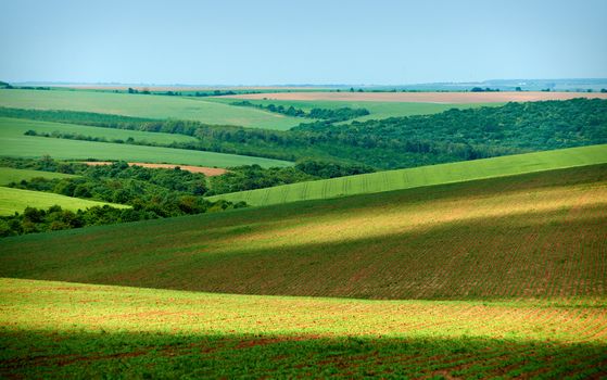 Countryside landscape with green spring fields