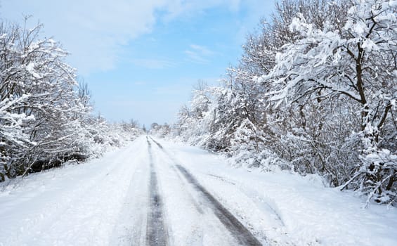 Winter road in sunny day with blue sky