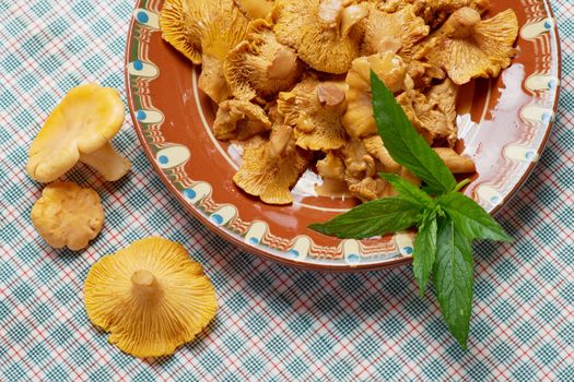 Golden chanterelle salad in a dish