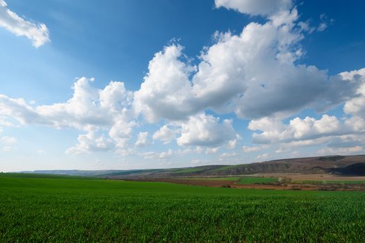 Landscape with spring green field and blue sky with beautiful clouds