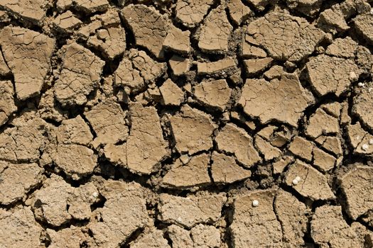 Close-up of abstract texture of dry mud