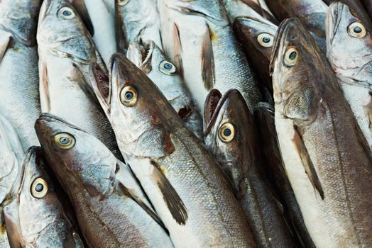 Cod fish on fishermen market in French Provence