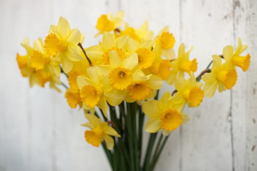 Yellow daffodil bouquet against an old white door