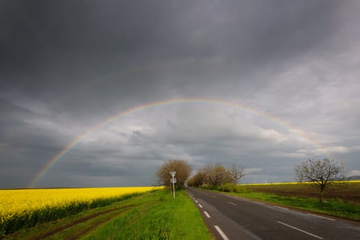 Spring scenery with rainbow over road