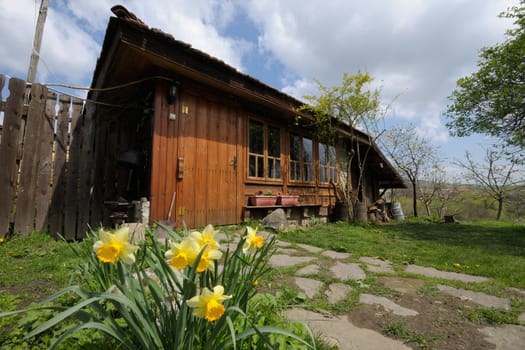 Little rural wooden house in spring, some flowers in front