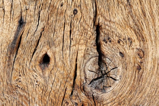 Old oak timber surface