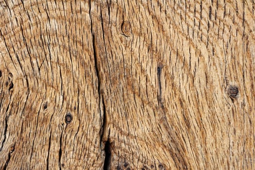 Old oak timber surface