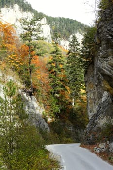 Road passing through a mountain gorge