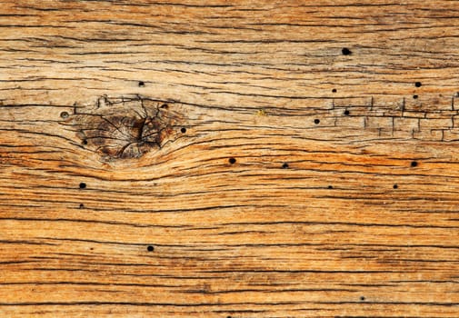 Old oak wood background with beautiful texture
