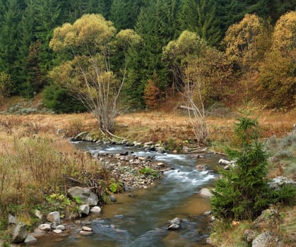 Autumn scenery with stream