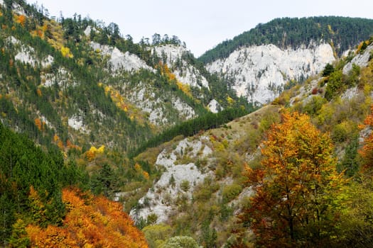 Autumn scenery from Rodopi mountains, Bulgaria