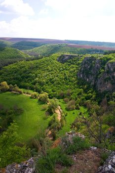 Spring green valley with green grass and stream