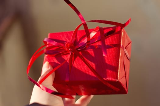 Female hands holding small gift with ribbon