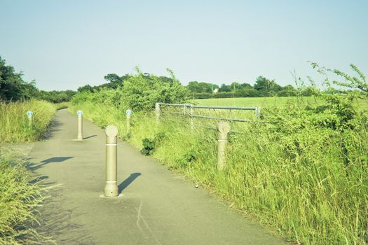 Cycle path adjacent to a field in rural England