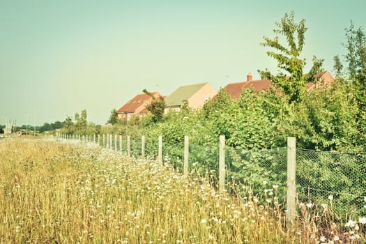 Wild flowers in a meadow next to modern houses in England