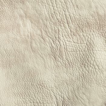 Leather texture as a detailed background image
