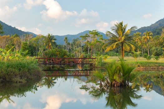 Small lake with palm trees in a tropical resort under a sky