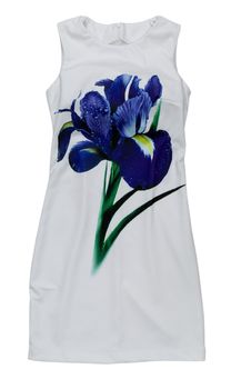 White dress with blue iris print. Isolate on white.