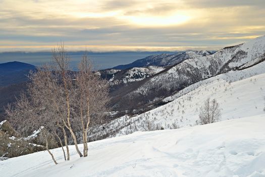 Winter landscape in a cloudy day overlooking the smoggy valleys below. Italian Alps.