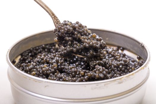 Black caviar in spoon from metal can, high angle on white background