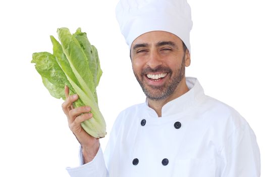 Laughing middle-aged cook or chef wearing a traditional white uniform and toque holding a fresh healthy green lettuce isolated on white