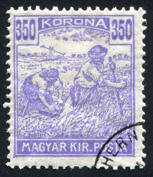 HUNGARY - CIRCA 1916: stamp printed by Hungary, shows Harvesting Wheat, circa 1916
