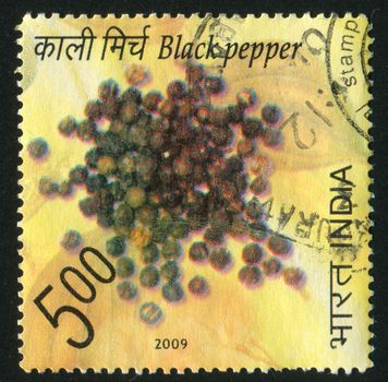 INDIA - CIRCA 2009: stamp printed by India, shows black pepper, circa 2009