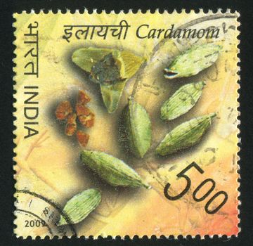 INDIA - CIRCA 2009: stamp printed by India, shows cardamon, circa 2009