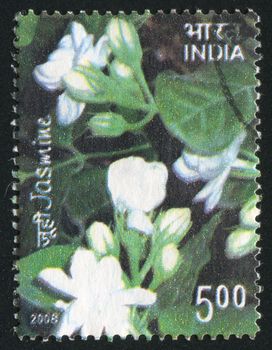 INDIA - CIRCA 2008: stamp printed by India, shows Jasmine, circa 2008