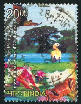 INDIA - CIRCA 2010: stamp printed by India, shows duck, fish, crab, eagle circa 2010