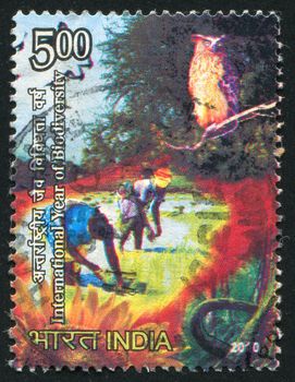 INDIA - CIRCA 2010: stamp printed by India, shows owl, women, circa 2010