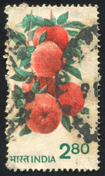 INDIA - CIRCA 1953: stamp printed by India, shows Fruits and Plants, circa 1953