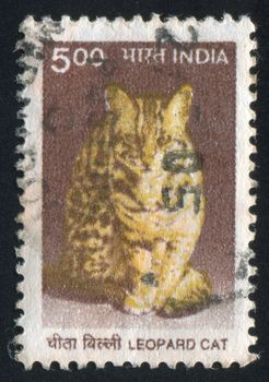 INDIA - CIRCA 2000: stamp printed by India, shows leopard cat, circa 2000