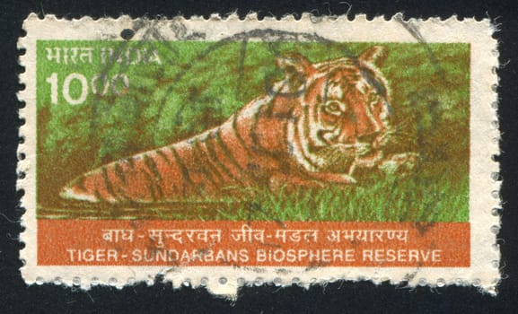 INDIA - CIRCA 1975: stamp printed by India, shows tiger, circa 1975