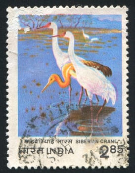 INDIA - CIRCA 1975: stamp printed by India, shows Crane, circa 1975