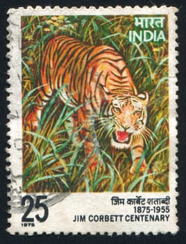 INDIA - CIRCA 1975: stamp printed by India, shows tiger, circa 1975