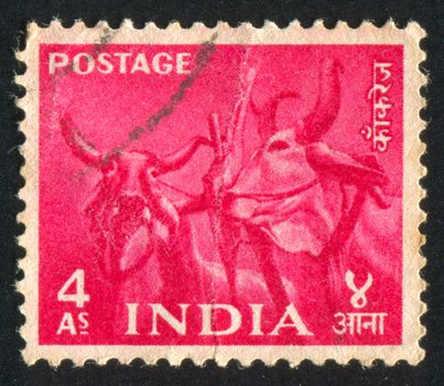 INDIA - CIRCA 1975: stamp printed by India, shows buffalo, circa 1975