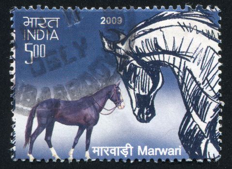 INDIA - CIRCA 2009: stamp printed by India, shows  horse, circa 2009