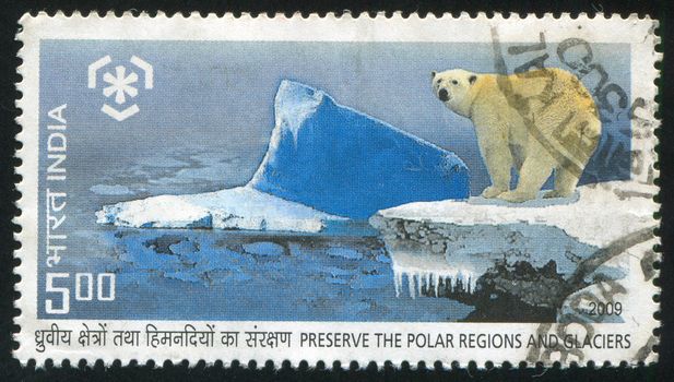 INDIA - CIRCA 2009: stamp printed by India, shows polar bear, circa 2009